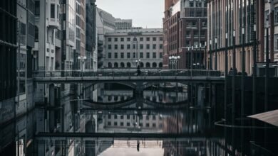 financial resilience for organizations
